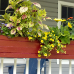 pallet flower box